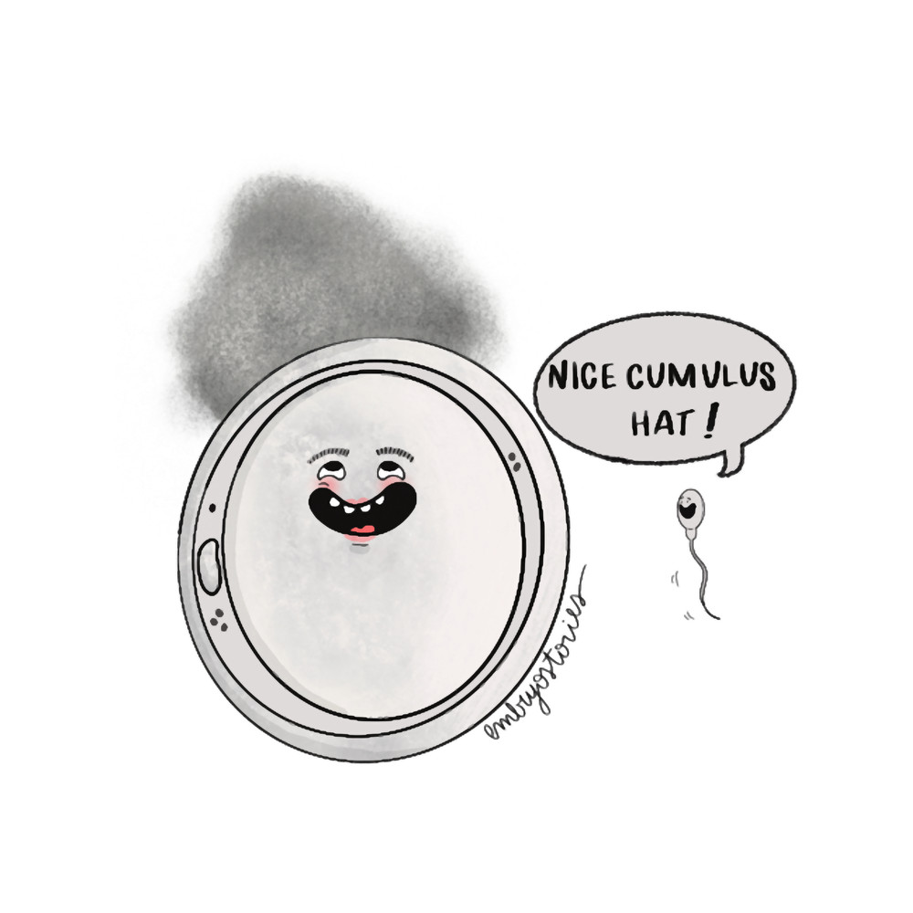 Cumulus Hat .png