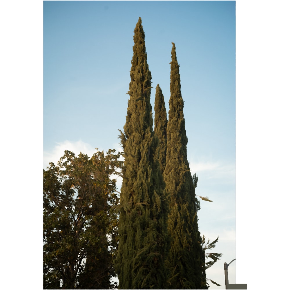 A new day in Toscany(4).png