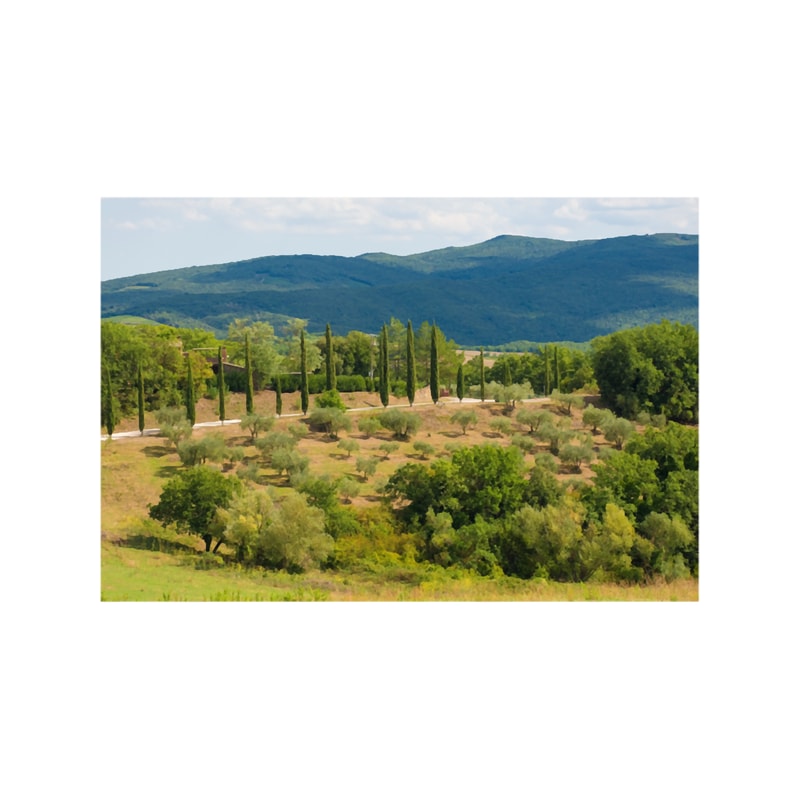 Guadalupe River (6).png