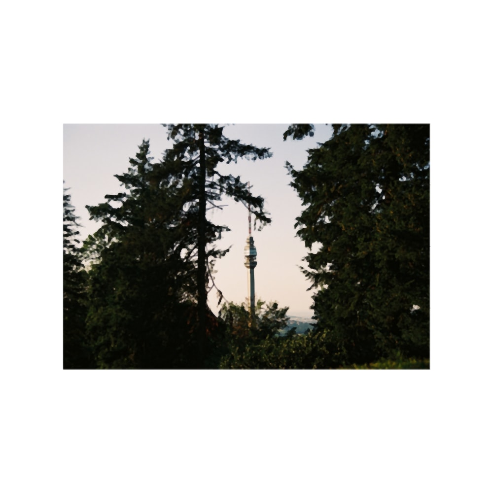 Hill View hill view .png