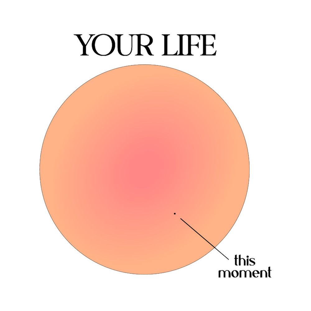 Your Life vs This Moment Visualization.png