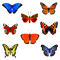 Butterflies(2).png