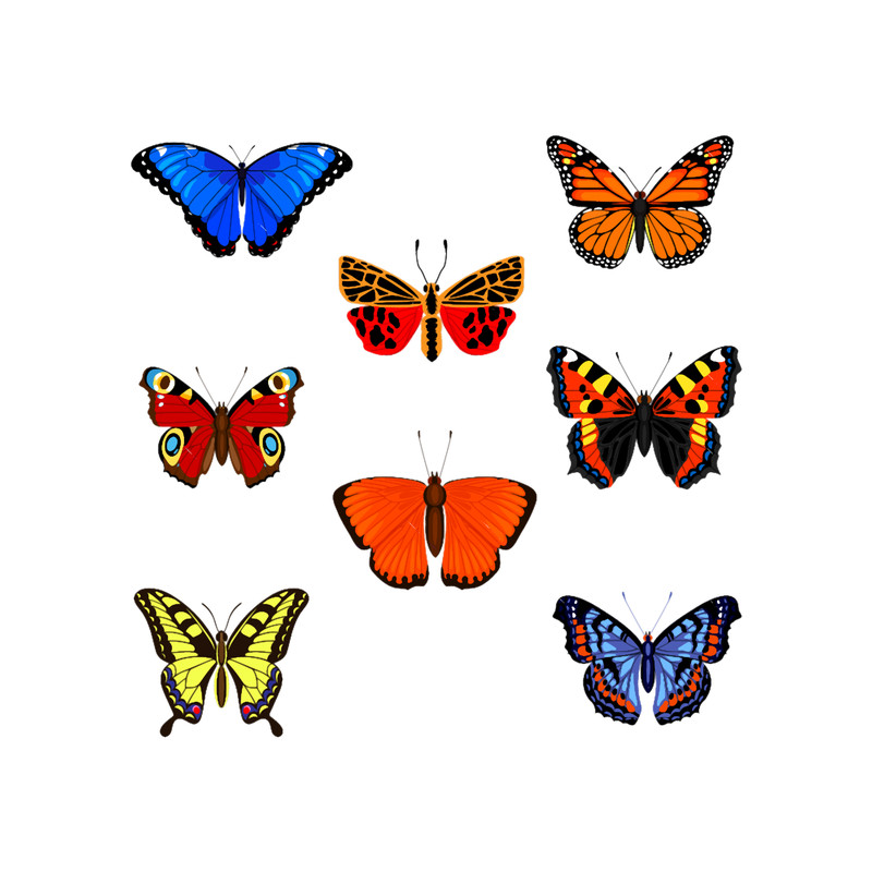 Butterflies(2).png