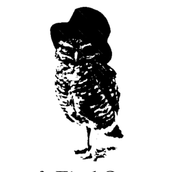 fuck around amp find out (1)