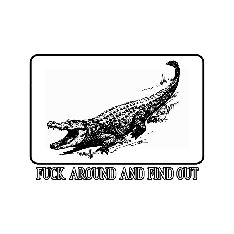 FUCK AROUND AND FIND OUT (7).png