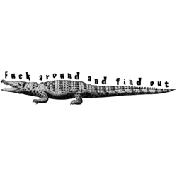 fuck around and find out classic(7)