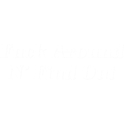fuck around n find out