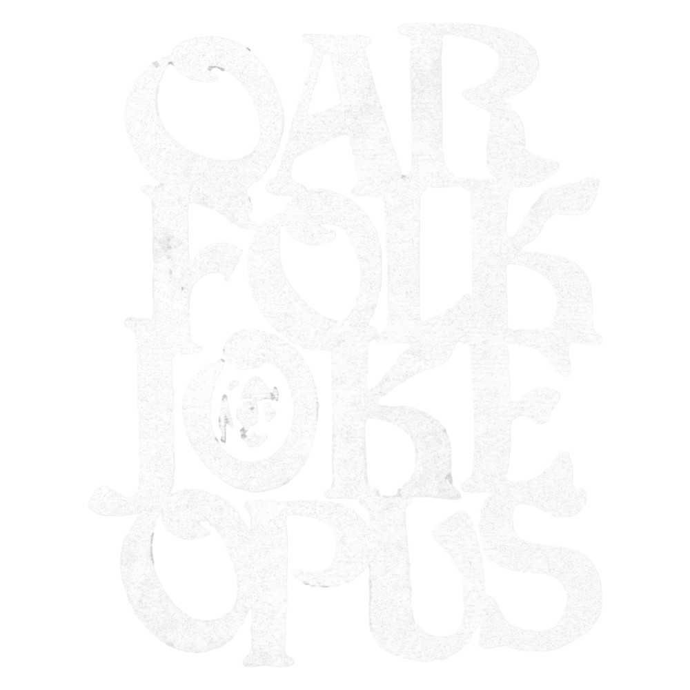 Oar Folkjokeopus Record Store Minneapolis Lyndale Uptown .png