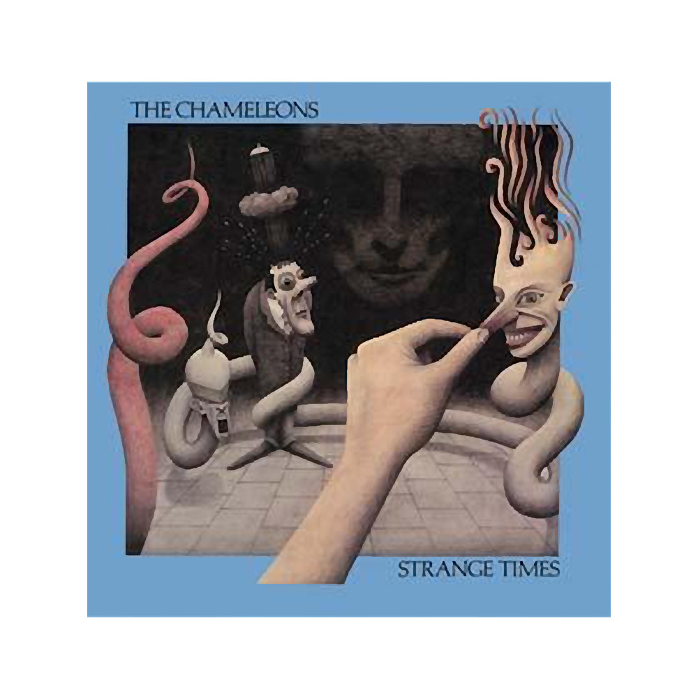 Retro College Post Punk Radio The Chameleons Cute Gift.png