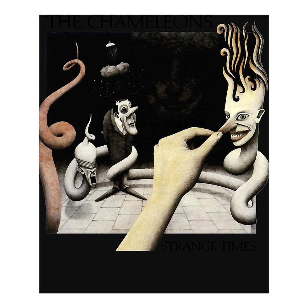 Robyn Hitchcock Day Gift Post Punk The Chameleons Retro Wave.png