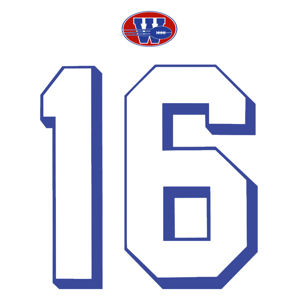 The Replacements Shane Falco Jersey .png