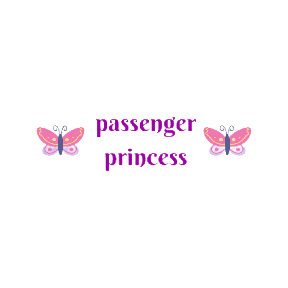 Passenger Princess (22).png