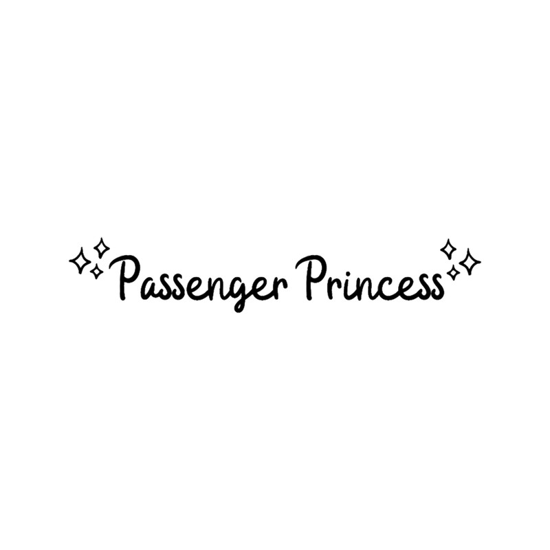 passenger princess (27).png