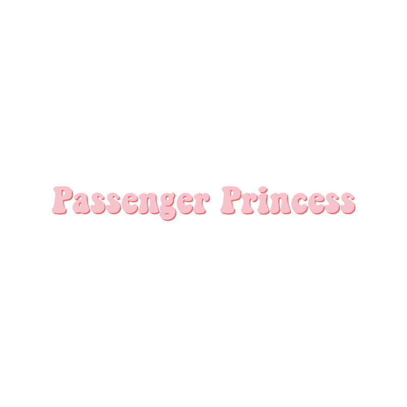 Passenger Princess 3 (3).png