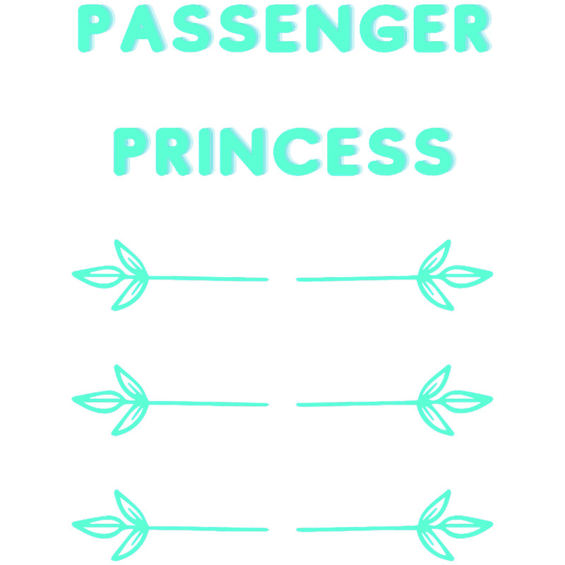 Passenger Princess, birthday, passenger princess pink, passenger princess cute, girly, girl, best se(4).png