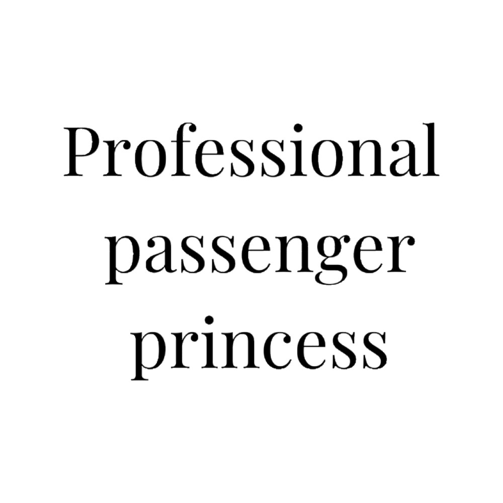 Professional Passenger Princess.png
