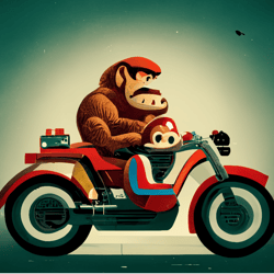 donkey kong amp mario bikers