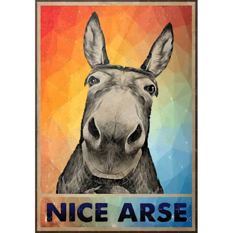 Donkey Said That.png