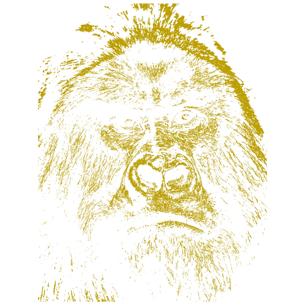 Gorilla Portrait Premium .png