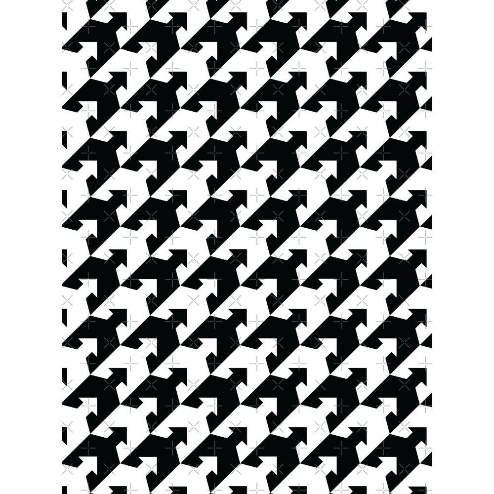 Squid Kid Graphic .png