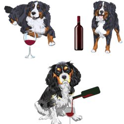 australian shepherd and wine cute breeds and wine