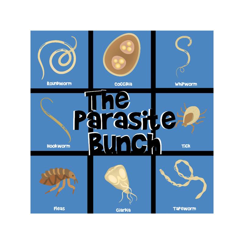 The Parasite Bunch.png