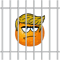 Crooked Orange Active .png