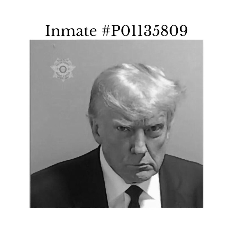 Donald Trump Headshot Fulton County Georgia Jail.png