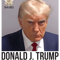 Donald Trump Official Mugshot Fulton County.png