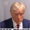 Free Donald Trump Mugshot, Trump Mug Shot - Donald Trump Mug Shot - Never Surrender Active .png
