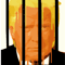 stable genius, trump, jail, donald trump.png