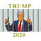 Trump 2020...Jail bird.png