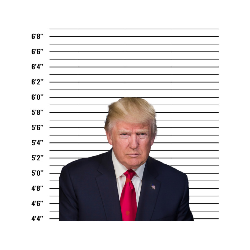 Trump and the jail.png