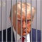 Trump behind bars mugshot.png