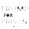 Trump For Prison 2024 , Trump Go to Jail Tee, Political Humor , Trump in Jail Outfit, .png