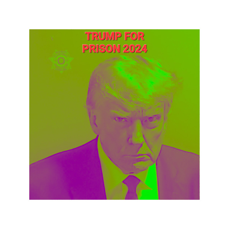 TRUMP FOR PRISON 2024.png