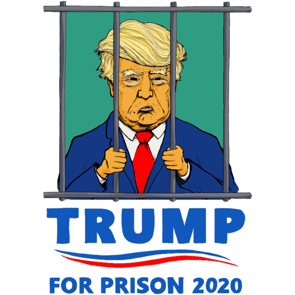 TRUMP for prison 20208.png