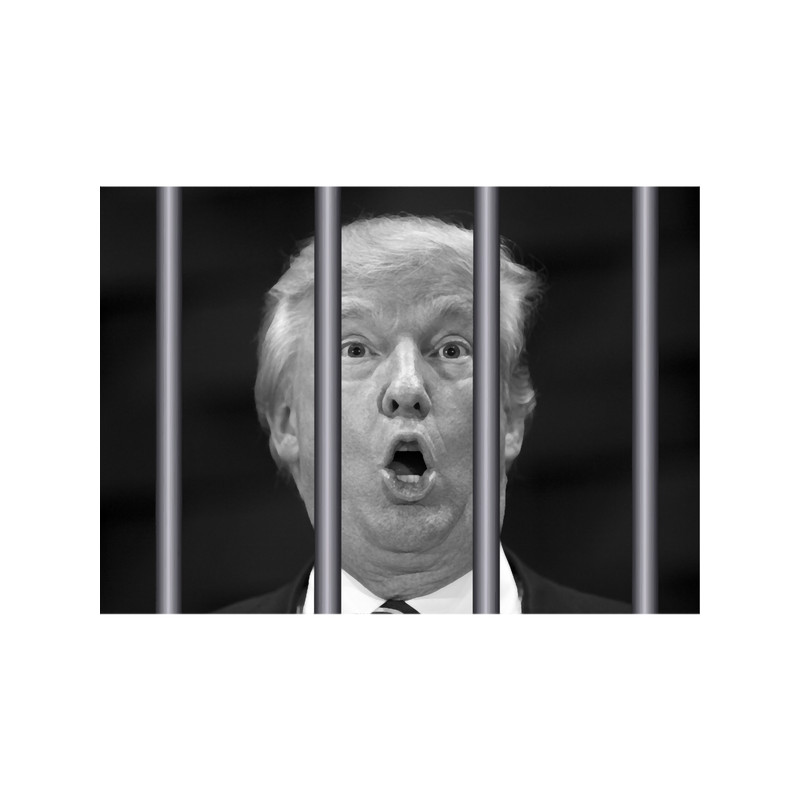 Trump Jail (1).png