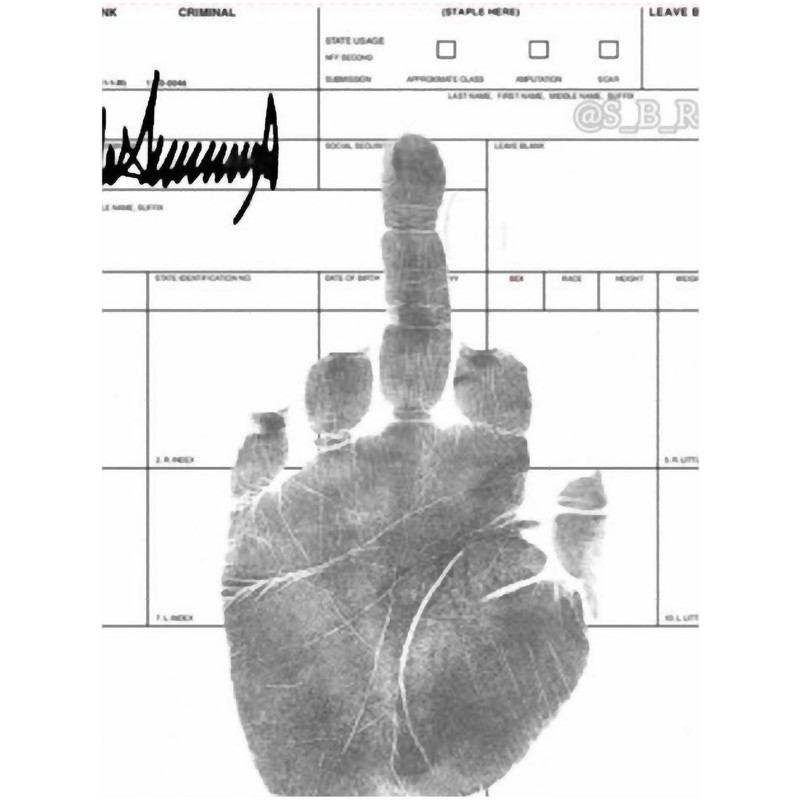 Trump Jail Finger Meme.png