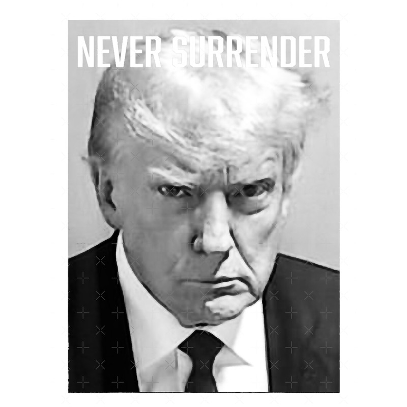 Trump Mug Shot - Donald Trump Mug Shot, Trump MugShot - Donald Trump MugShot - Never Surrender Essen.png