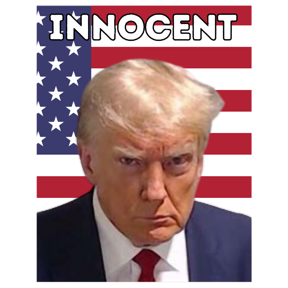 Trump Mugshot Design .png