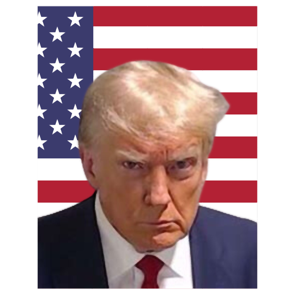 Trump Mugshot Design(3).png