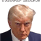 Trump Mugshot Design(6).png