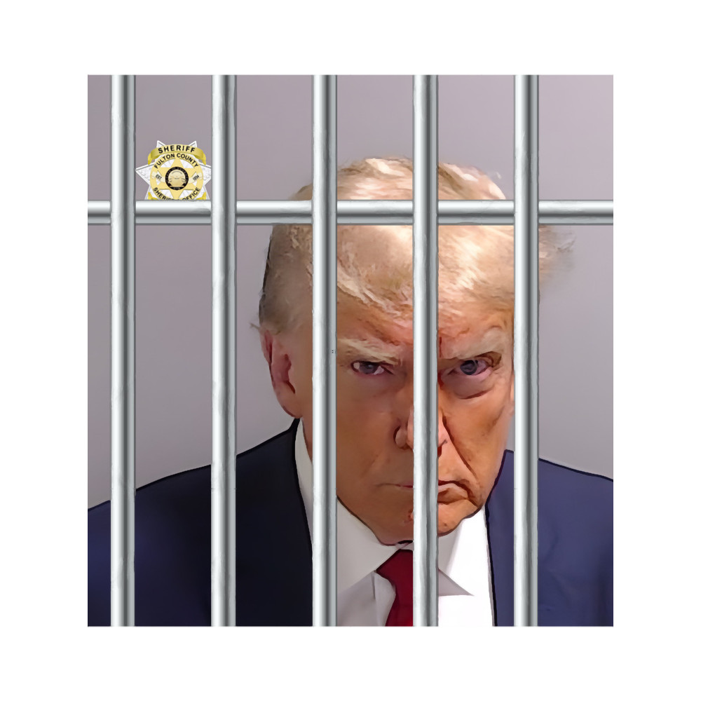 Trump Mugshot.png