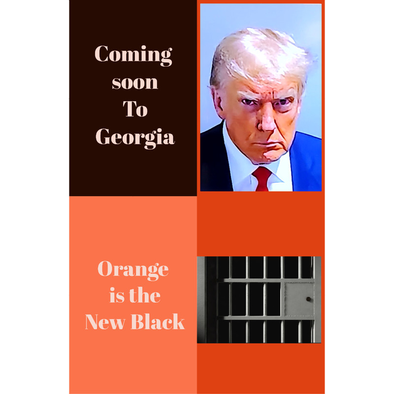 trump vs. georgia.png