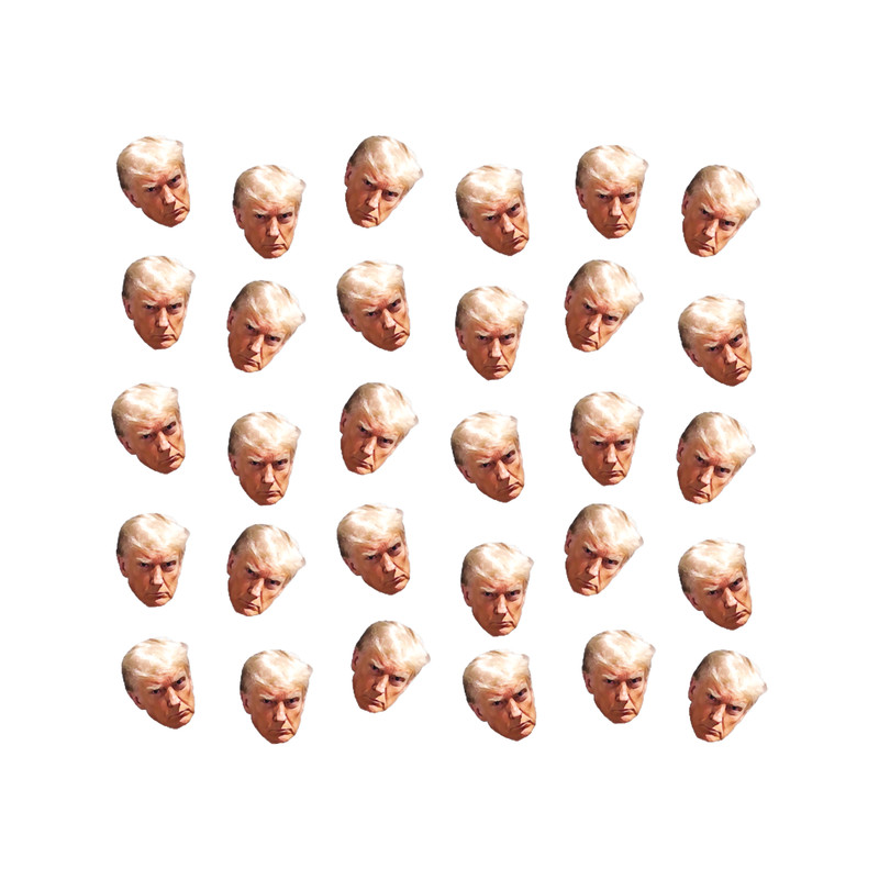 Trump_s mug shot pattern (1).png