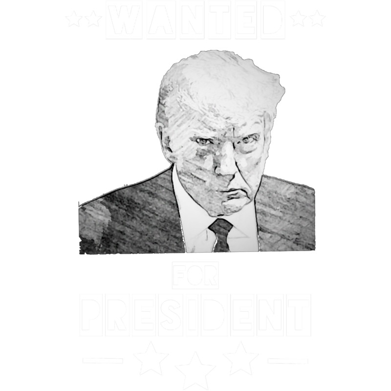 WANTED FOR PRESIDENT.png
