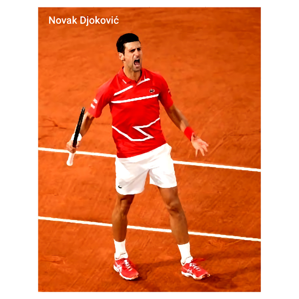 Djokovic Novak.png