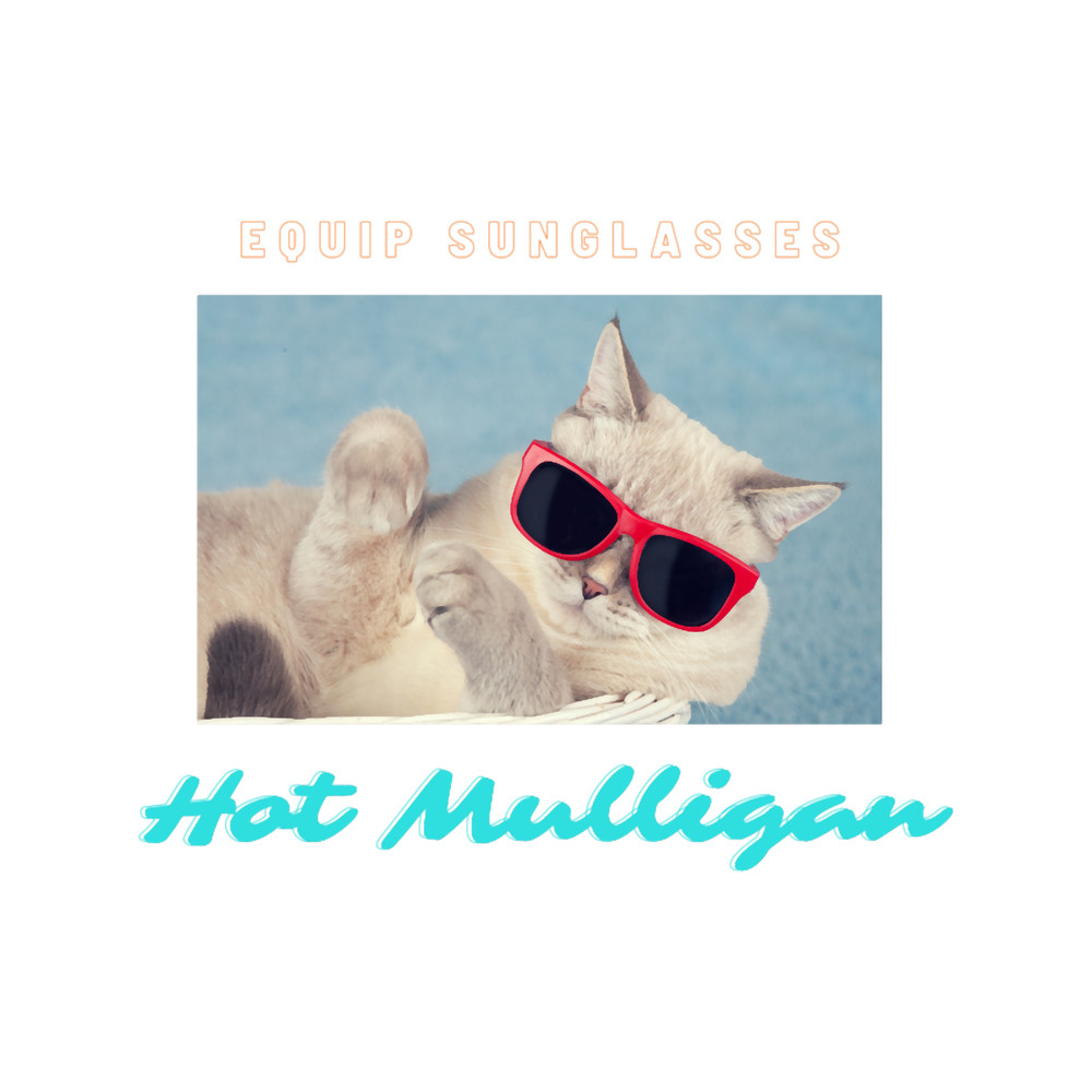 Hot Mulligan Band - Equip Sunglasses.png