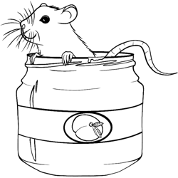 Rat in baby food jar BettyHot Mulligan